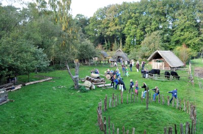 Bronzezeithof Uelsen.jpg