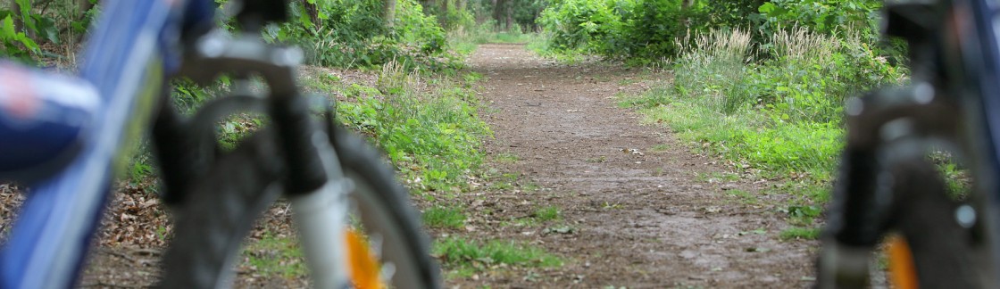 Fietsverhuur