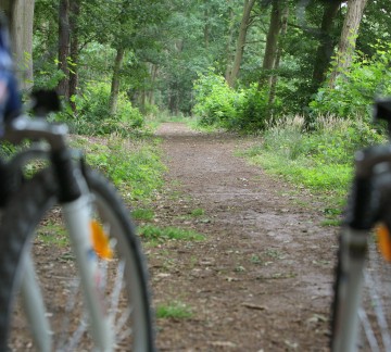 Bicycle rental