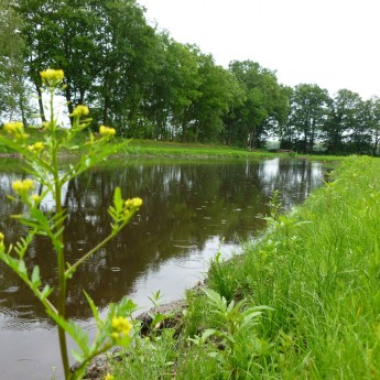 Header &visvijver Faciliteiten>Sport Kaps.JPG