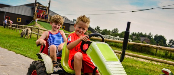 Drentse koe Skelteren met kabelbaan op achtergrond.jpg