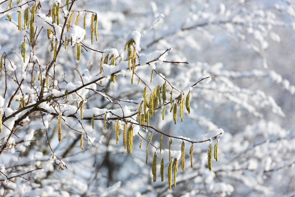 Winter sfeer