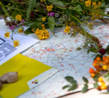 Wandelen in Twente