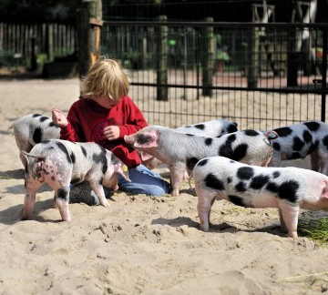 Dierentuin Nordhorn